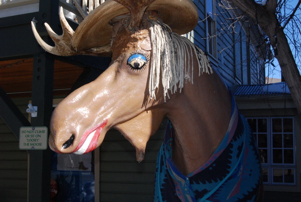 Moosehead, Park City, Utah